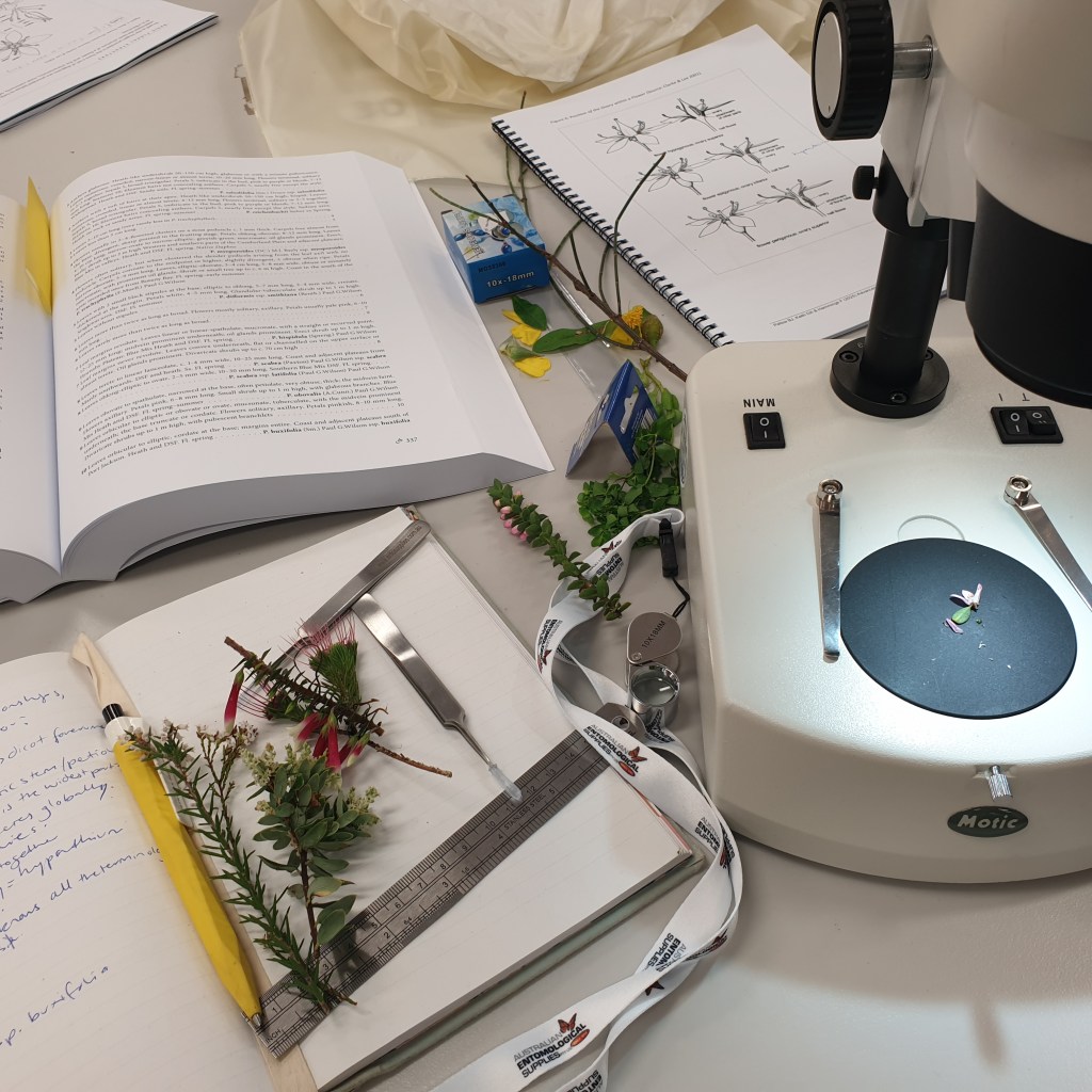 A laboratory scene including a microscope, plant samples, books and forceps.