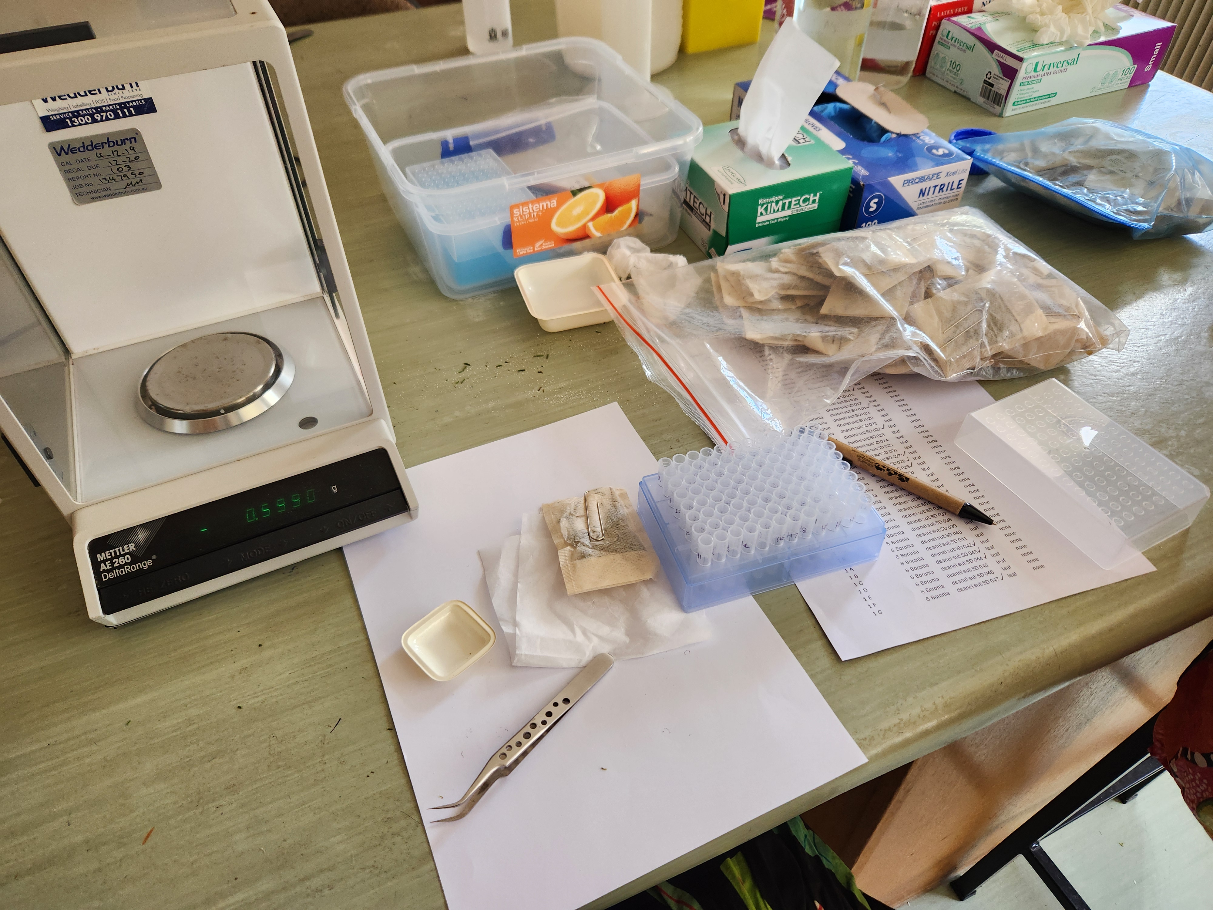 A laboratory scene with plant samples, a scale, forceps and a rack of sample vials