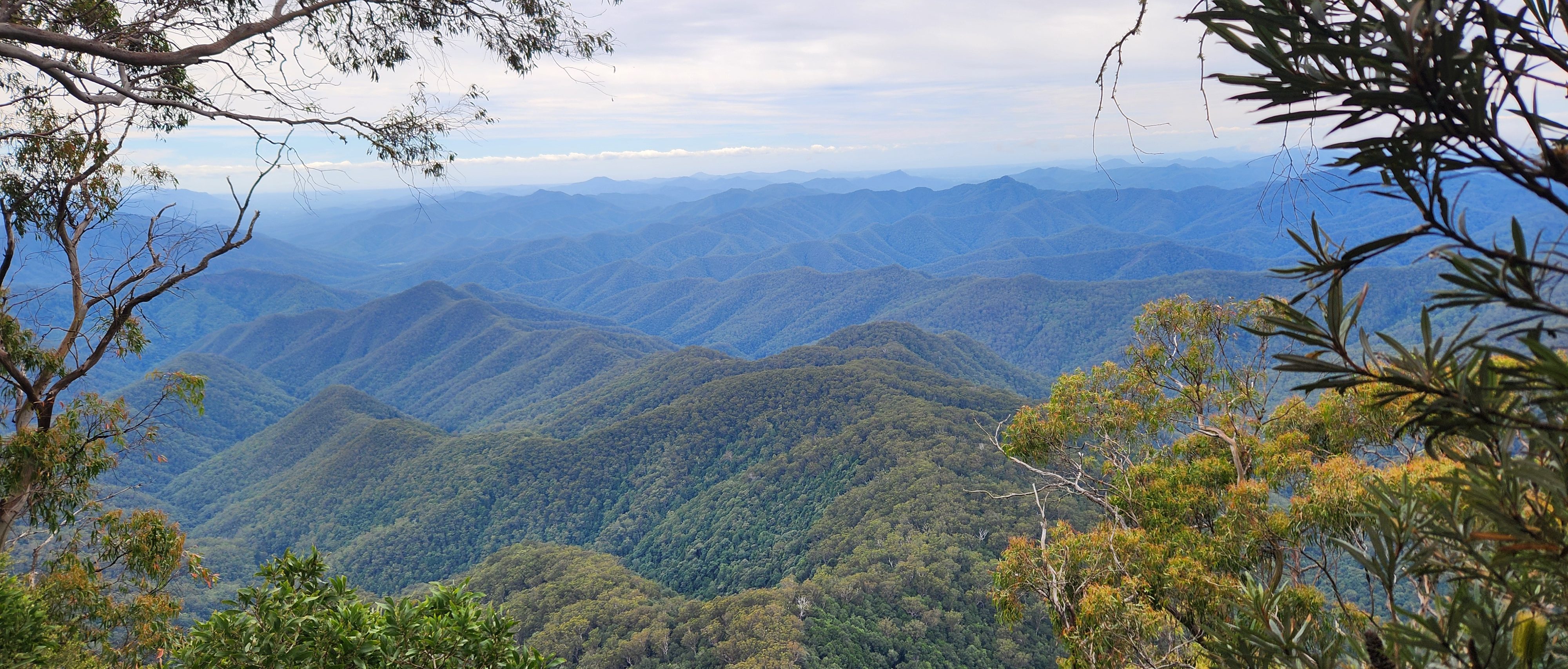 View from Point Lookout, New England National Park