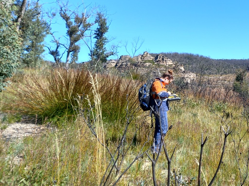 Shelomi Doyle surveying a field site for biodiversity