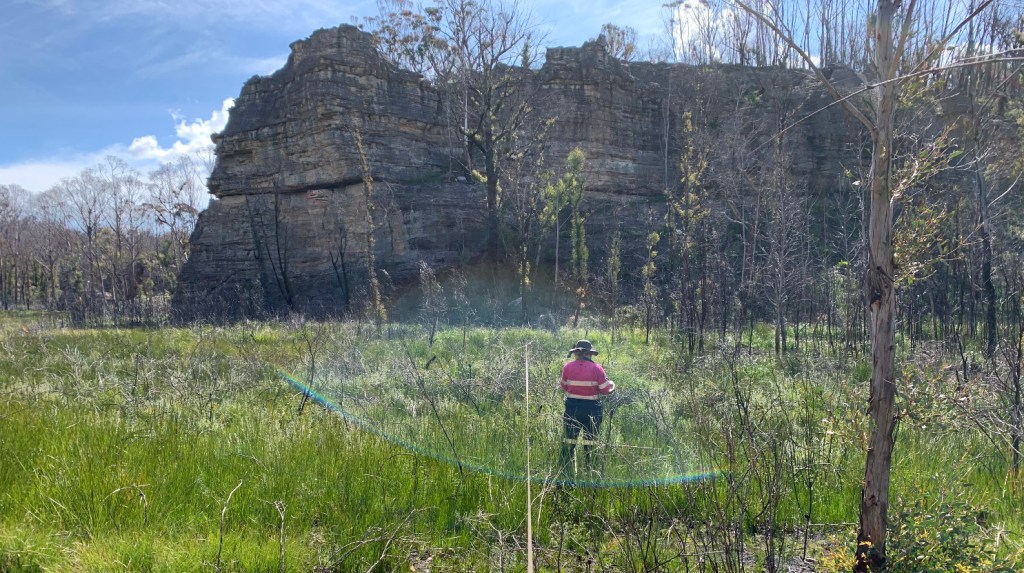 Shelomi Doyle surveying plants along a transect in a peat swamp